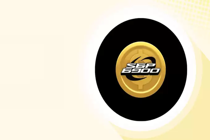 什么是SPX6900 （$SPX）？定义和功能