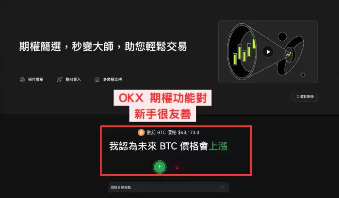 比特币期权是什么？操作教学、设定,手把手教你操作OKX比特币期权
