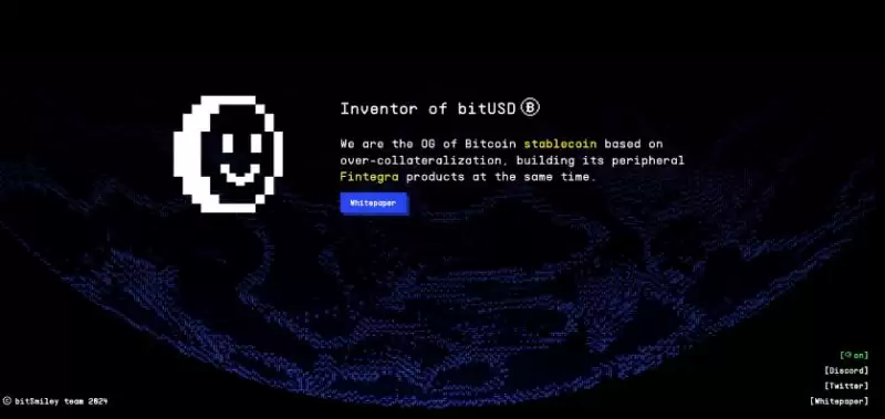 bitSmiley未来前景如何？bitSmiley10倍回报是真的吗？