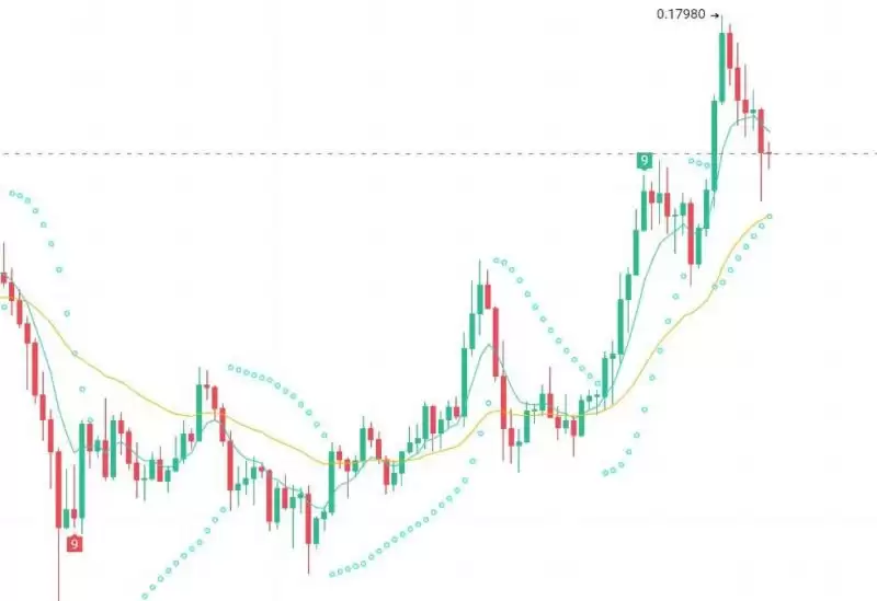 美大选后有哪些值得炒作的加密货币?