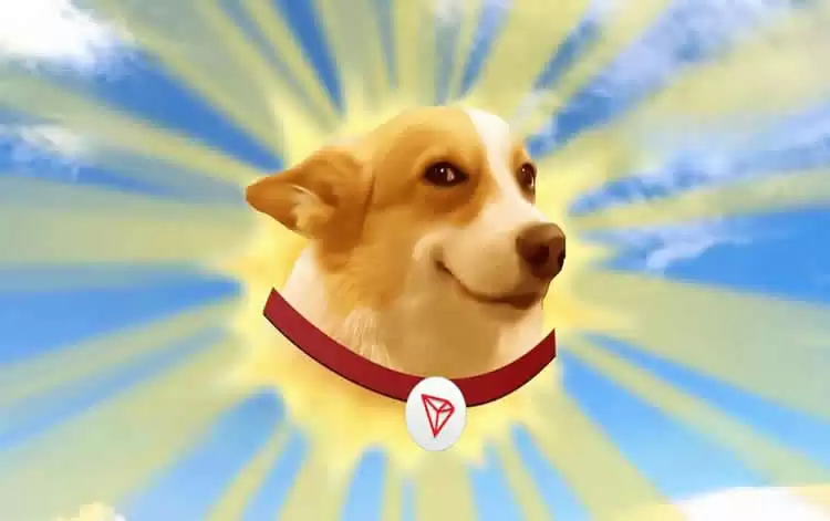 Sundog(SUNDOG)币是什么?SUNDOG币价格走势分析及未来预测