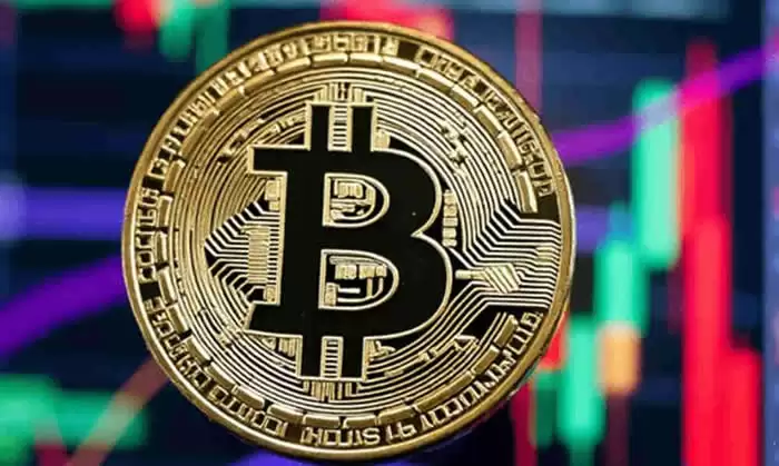 比特币短期/长期持有者是什么意思？