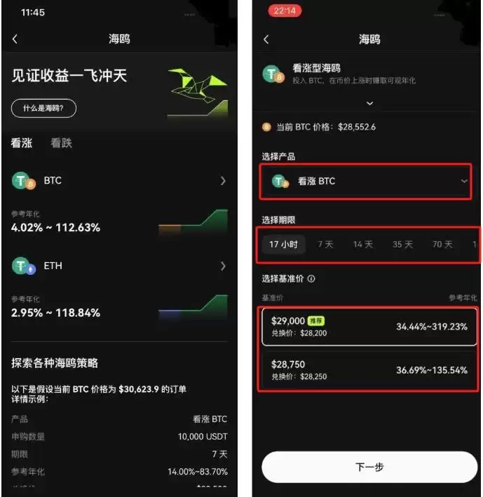 欧易OKX海鸥策略申购步骤二