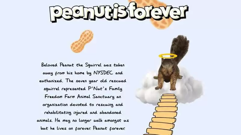 PNUT币未来价格如何？2025-2030年PNUT币价格预测