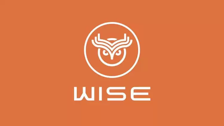 WISE币总发行量和总市值是多少