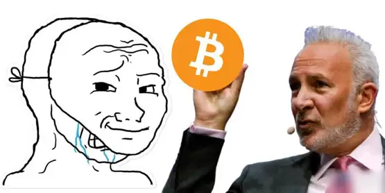 比特币突破10万美元引发媒体道歉，Peter Schiff批评其上涨依赖政府干预