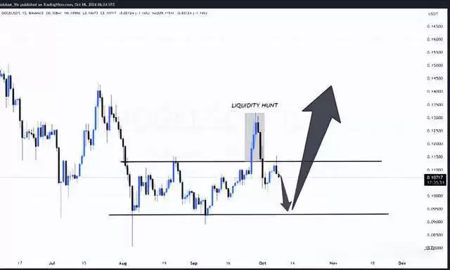 狗狗币最新价格预测:近期价格可能暴涨50% 2030年将涨至3.015