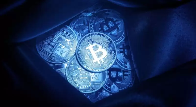 Movement是什么?深度解析拥有明星投资阵容的Movement