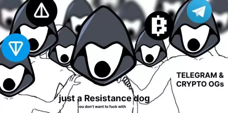 REDO币是什么?币安TON力推 抵抗狗REDO暴涨超250%