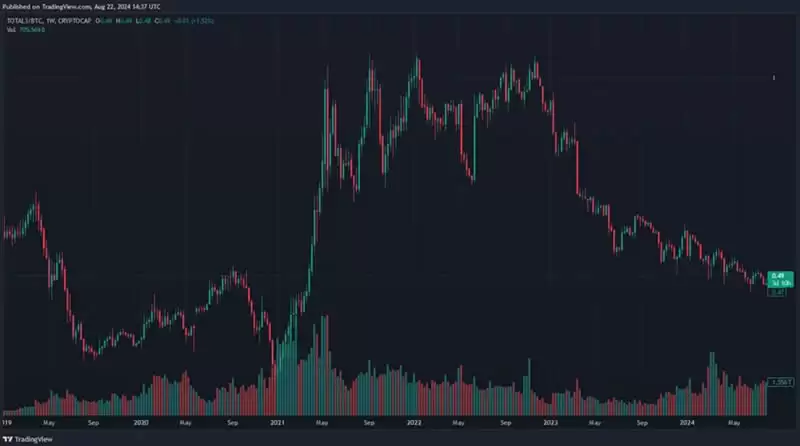 2025年山寨币展望报告:山寨币还有上涨的希望吗？