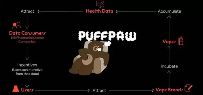 PuffPaw是什么？代币经济学如何运作？未来前景如何？