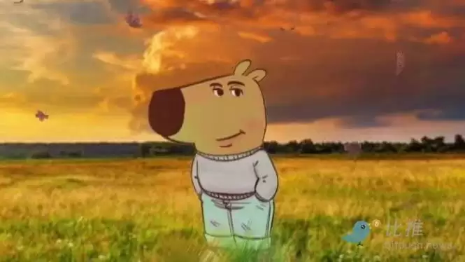 CHILLGUY币是什么?CHILLGUY币会是下一个狗狗币吗?