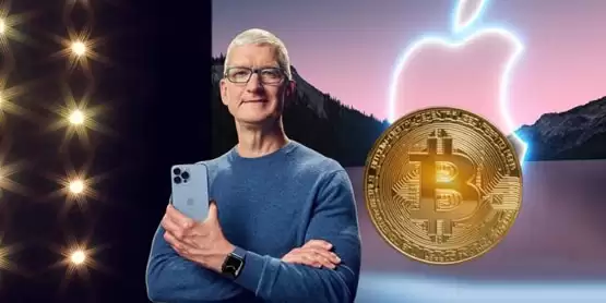 库克:已持仓比特币3年、NFT很有趣!但苹果短期内无意进军加密货币