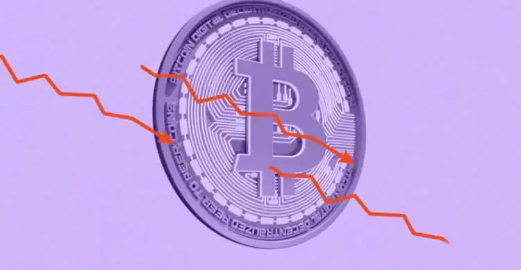 2025年美国比特币交易所排名介绍