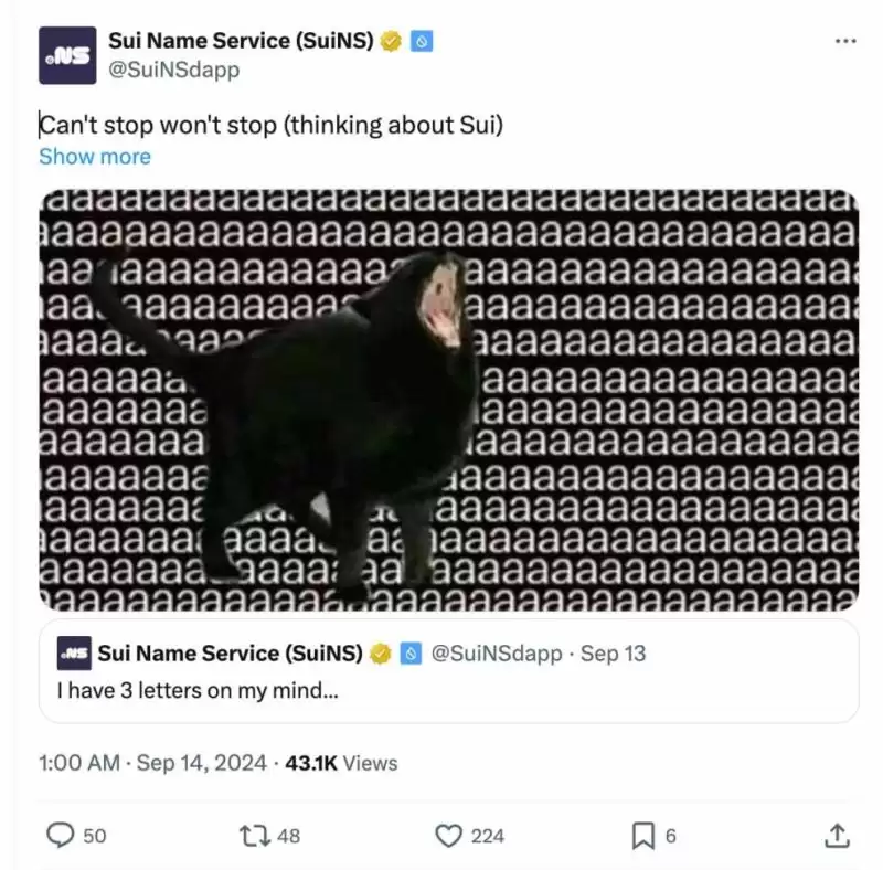 Sui生态还有哪些好项目?值得关注的12个热门Meme盘点