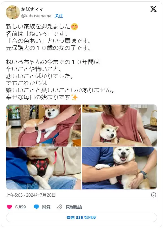 Neiro Ethereum(NEIRO)币是什么?NEIRO会成为下一个狗狗币吗?