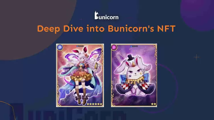 BUNI是什么币种?BUNI币未来前景分析