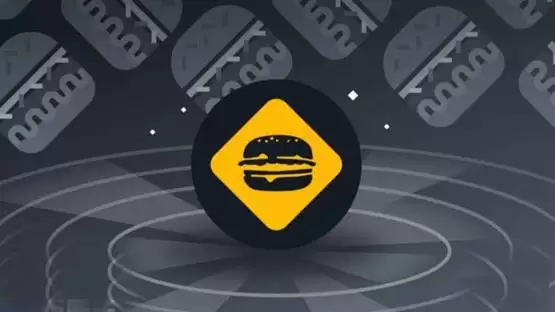 BURGER币种介绍与发展前景分析