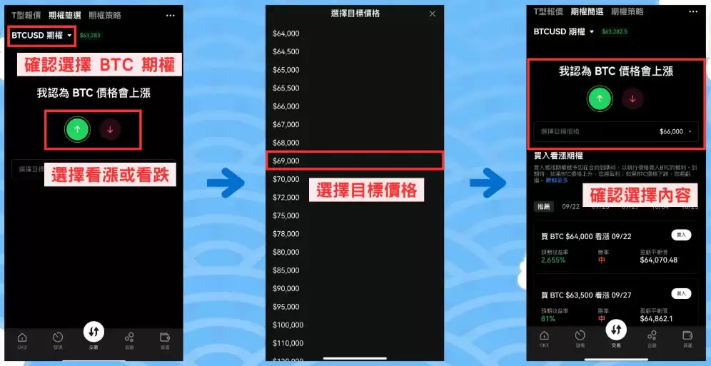 比特币期权是什么？操作教学、设定,手把手教你操作OKX比特币期权