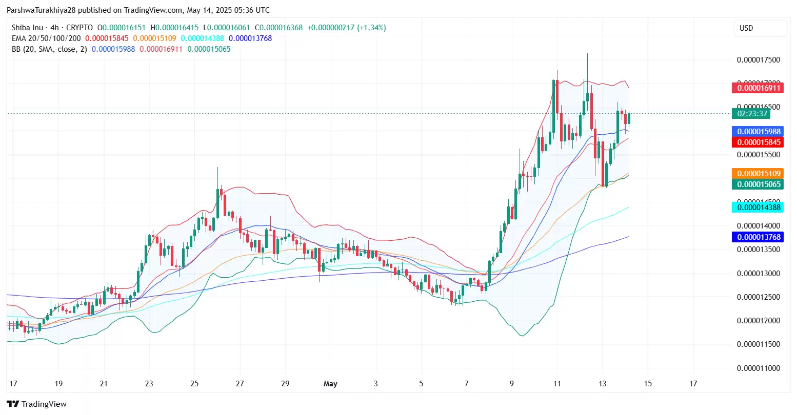 SHIB今日价格预测:BTC达到12.5万美元,SHIB能达到0.0001美元吗?