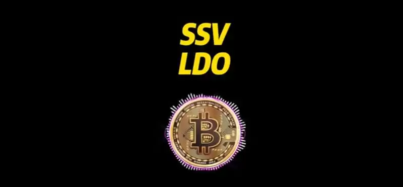 SSV和LDO哪个是龙头币？哪个潜力大？区别有哪些？