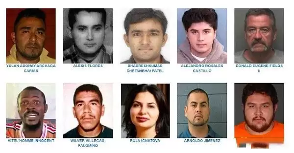 加密货币六大未解之谜:垃圾场里的BTC和消失的高管