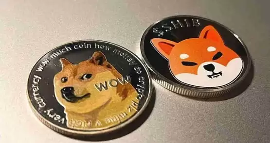 柴犬币和狗狗币哪个有投资价值?