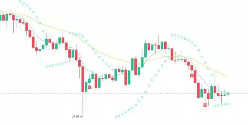 美大选后有哪些值得炒作的加密货币?