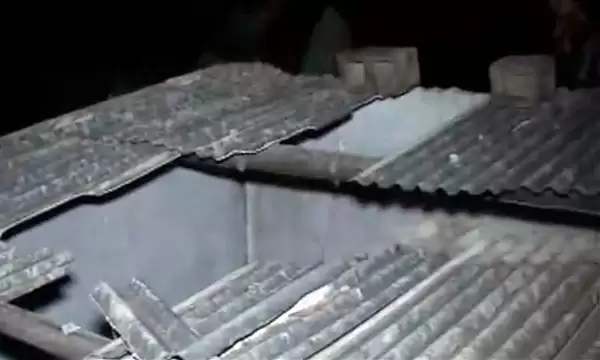 巴西男子屋里睡觉被天降巨牛砸死：同床妻子毫发无伤