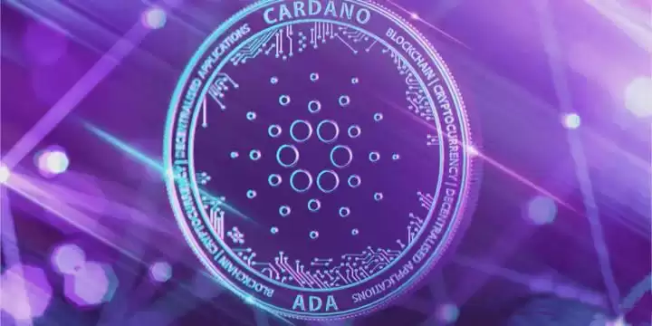 卡尔达诺价格走势分析