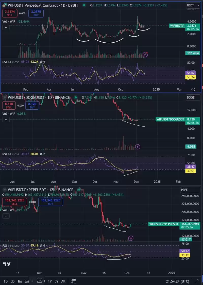 比特币突破10万!分析师看好这3种币大暴涨,山寨狂牛准备来袭？