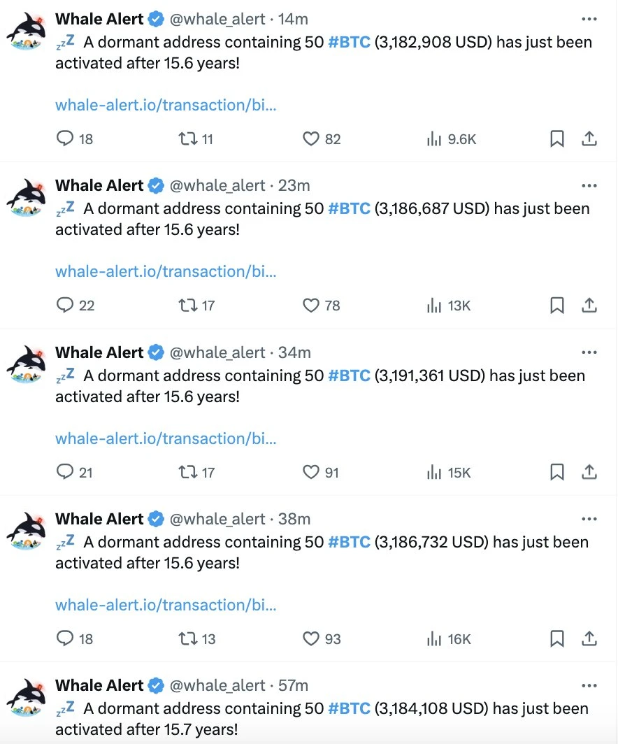 这将是最后一轮加密货币牛市?9大远古巨鲸苏醒意味着什么?