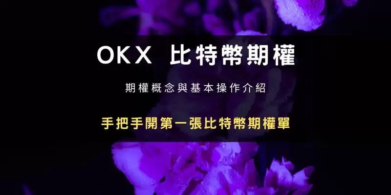 比特币期权是什么？操作教学、设定,手把手教你操作OKX比特币期权