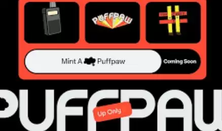 PuffPaw是什么？代币经济学如何运作？未来前景如何？