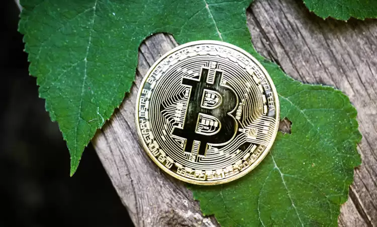 比特币最近怎么涨的这么厉害？比特币暴涨原因分析