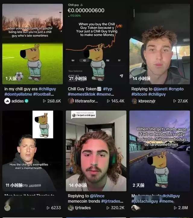 CHILLGUY币是什么?未来前景如何?值得长期关注吗?