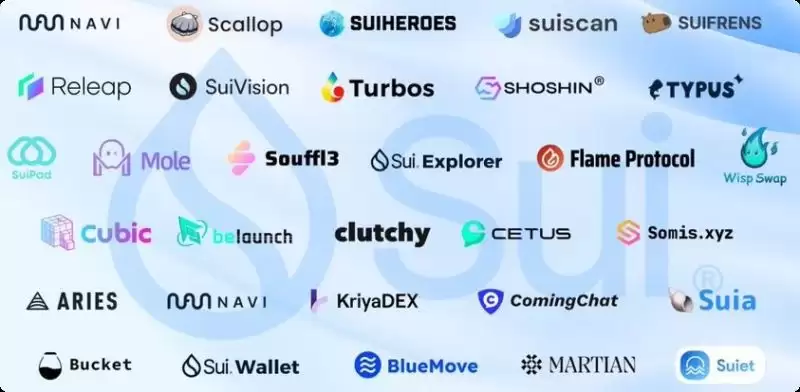 Sui生态还有哪些好项目?值得关注的12个热门Meme盘点