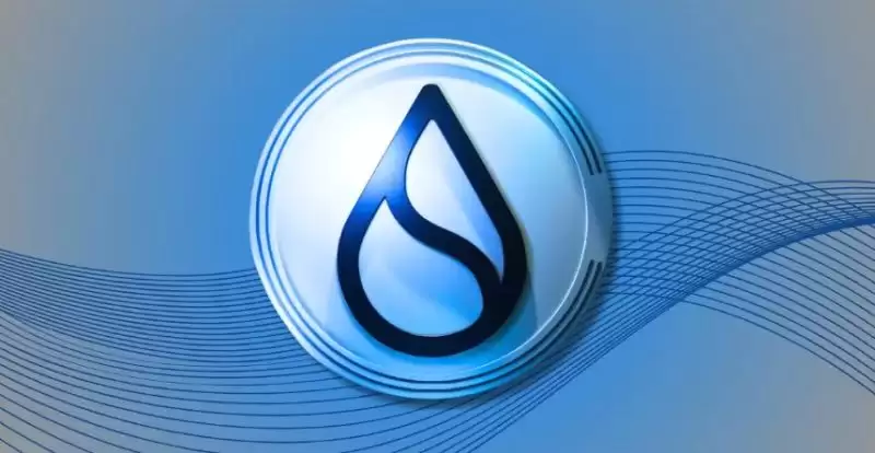 从基本面解读,为何灰度会选择Sui?