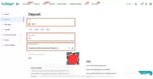 Bitget充值教程：选择币种与网络类型
