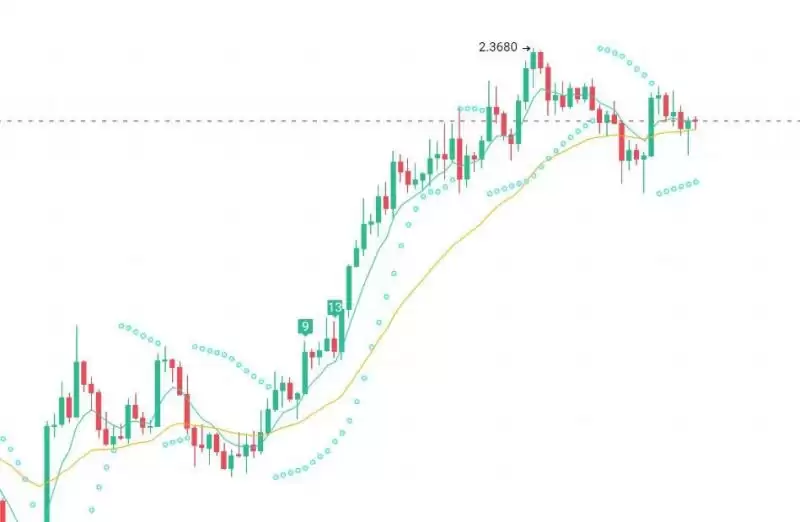 美大选后有哪些值得炒作的加密货币?