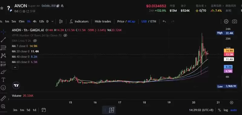 ANON币是什么?ANON币未来前景如何?