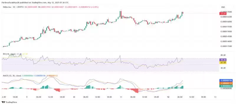 SHIB近期价格分析:价格预测上涨101%,达到0.000048美元