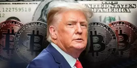 特朗普胜选比特币不会涨?经济顾问:他不会让美元贬值