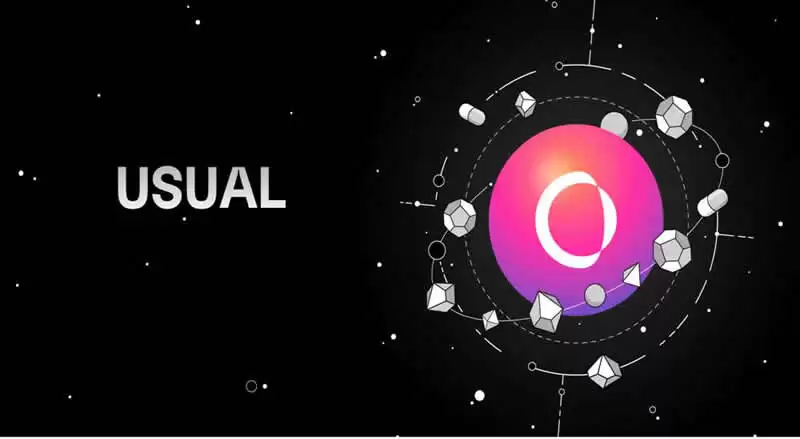 Usual币是什么？值得投资吗？币安Launchpool第61期新币挖矿项目