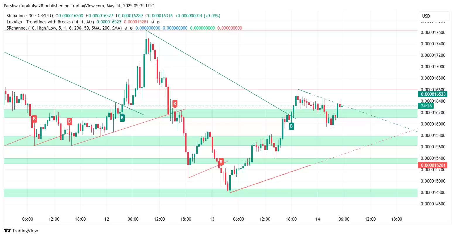 SHIB今日价格预测:BTC达到12.5万美元,SHIB能达到0.0001美元吗?
