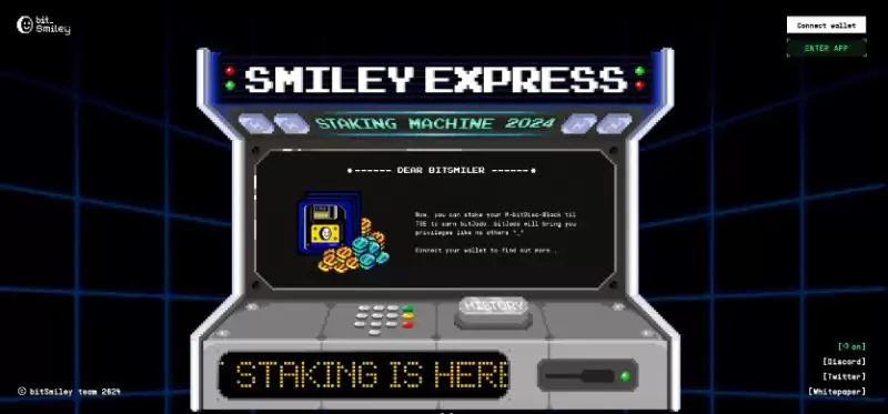 bitSmiley未来前景如何？bitSmiley10倍回报是真的吗？