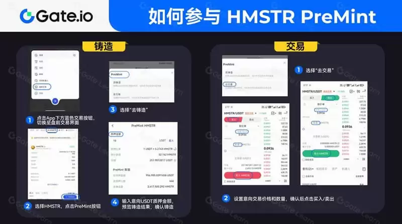 史上最大空投项目?如何参与HMSTR币空投?