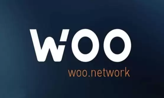 WOO币这个币还有希望吗？能涨吗？