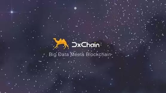 DX币与DxChain项目全面解析