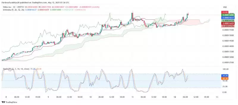 SHIB今日价格预测:BTC达到12.5万美元,SHIB能达到0.0001美元吗?